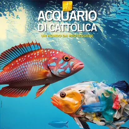 Acquario Di Cattolica biglietti scontati