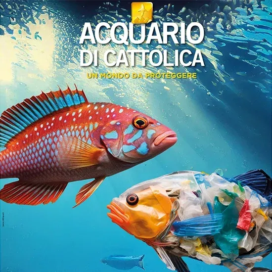 Acquario Di Cattolica biglietti scontati