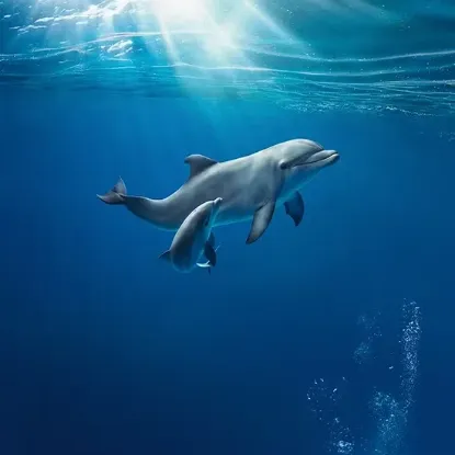 Biglietti Acquario Di Genova scontati