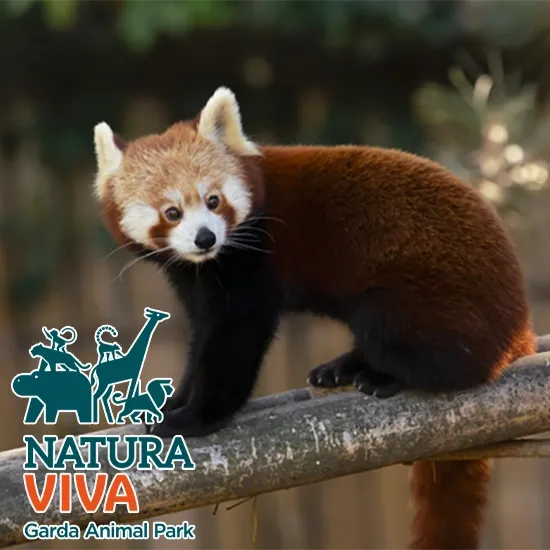 Parco Natura Viva biglietti scontati