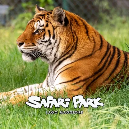 Safari Park Pombia biglietti scontati